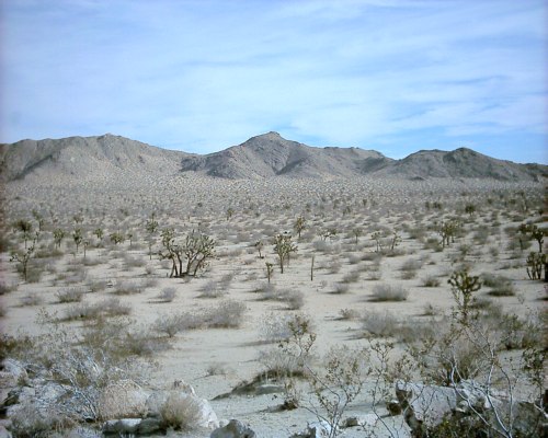 l) Desert.jpg
