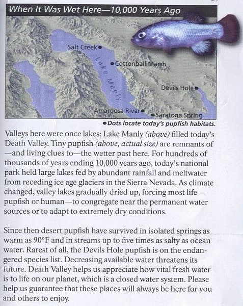 x) Lake Manly - The Devils Hole Pupfish are Remnants of, and Clues to, the Wetter Past Here (Endangered Species).JPG