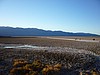 zj) The SaltFlat's Lowest Point (282 Ft Below Sea Level) Is Actually Located Appr 3 Miles West of the Badwater Pools.JPG