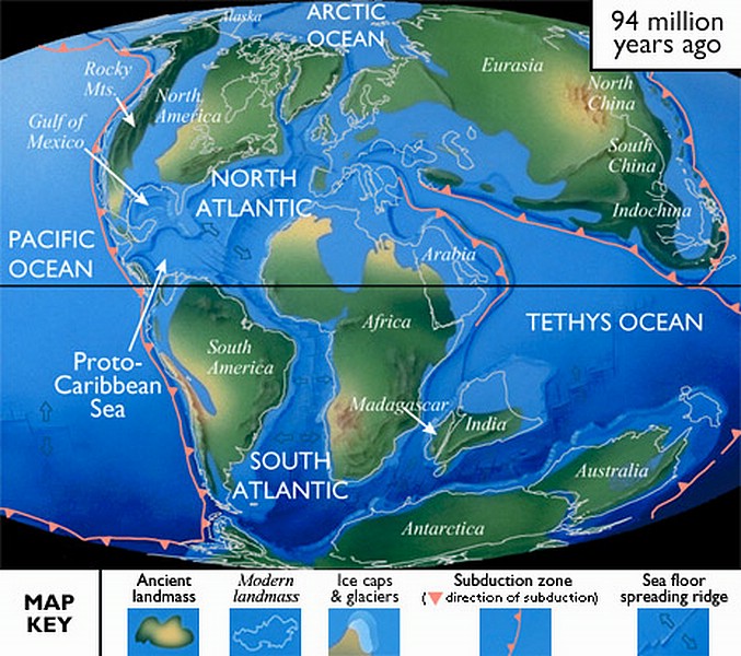 zzl) During the Cretaceous (144-65 Million Yrs Ago) N-America Was Moving N-West, Closer To Its Present Position.JPG