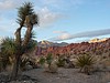 zf) Red Rock Canyon National Conservation Area.JPG