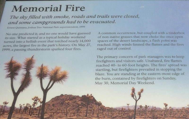 q) Memorial Fire.jpg