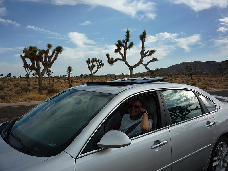 zzu) The Biggest Known JoshuaTree in the Park is some 42 Feet Tall.JPG