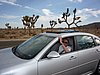 zzt) The Average LifeSpan of a JoshuaTree is 150 Years, but Some Do Get Older.JPG