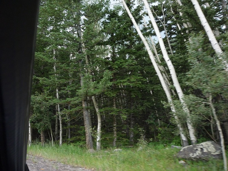 w) Moving On, Driving Down Scenic Bypas 12, Direction South - Climbing Boulder Mountain.JPG