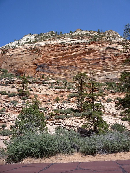 q) Navajo Sandstone ~ Red Lower Layers Are Colored By Iron Oxides.JPG