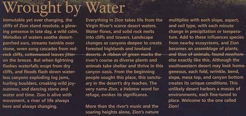 zzc) Wrought By Water~Everything In Zion Takes Life From The Virgin Rivers Scarce Desert Waters,Carving The Canyon We See Today.JPG
