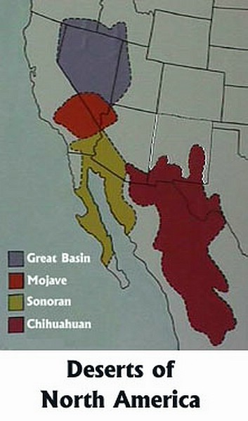 zza) The N-American Deserts Has 4 Desert Regions. The Great Basin, the Mojave, the Sonoran + the Chihuahuan.JPG