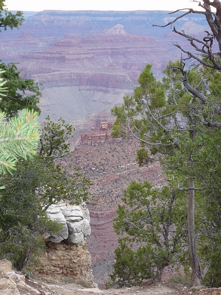 zd) Scientists Estimate That It Has Taken From 3 to 6 Million Years To Cut The Grand Canyon.JPG
