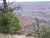 w) Elevation of the Rim Trail is Approximately 7,000 Feet Above Sea Level.JPG