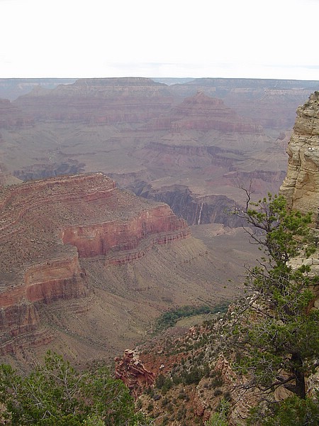 r) The Most Powerful Force To have An Impact On The Grand Canyon Is Erosion.JPG