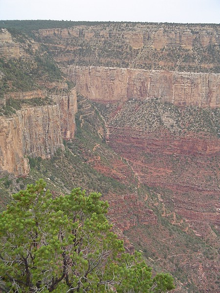 z) The South Rim of Grand Canyon Marks The Northern Edge of a High Plateau Whose Gray-Green Forests Stand Out.JPG
