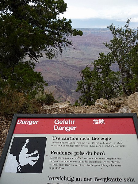 zn) But Every Year A Few Of Those Visitors Die In The Grand Canyon.JPG