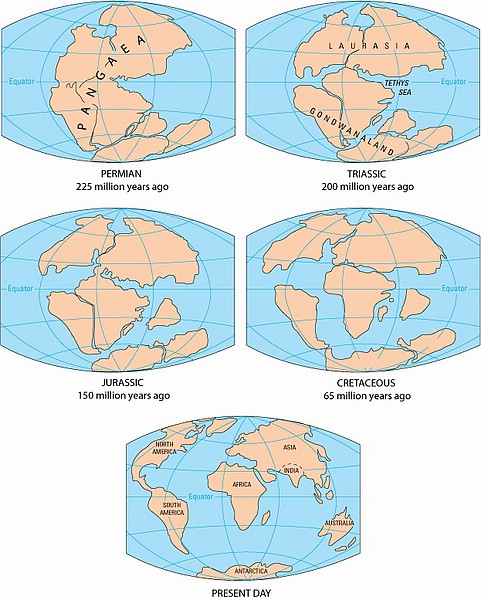 zzg) Continental Drift - The Pieces of the Puzzle.jpg