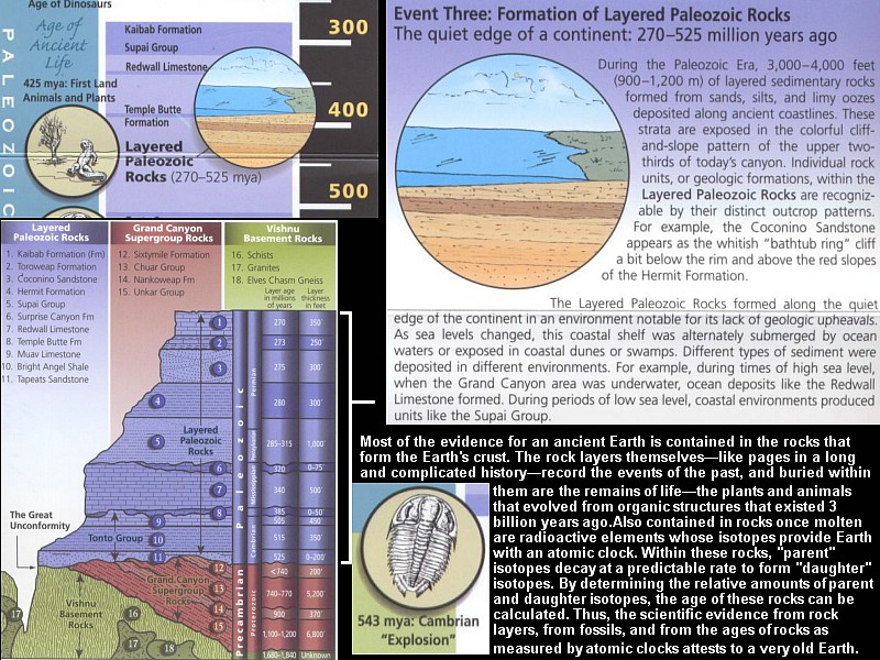 zzn) Event Three - Formation of Layered Paleozoic Rocks - The Quiet Edge of A Continent.JPG