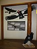 g) In The Park HeadQuarters Exposition About The Californian Condor (Vultur).JPG
