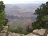 zl) Use Caution Near The Edge - Humans Are Among The Less Surefooted Creatures At Grand Canyon.JPG