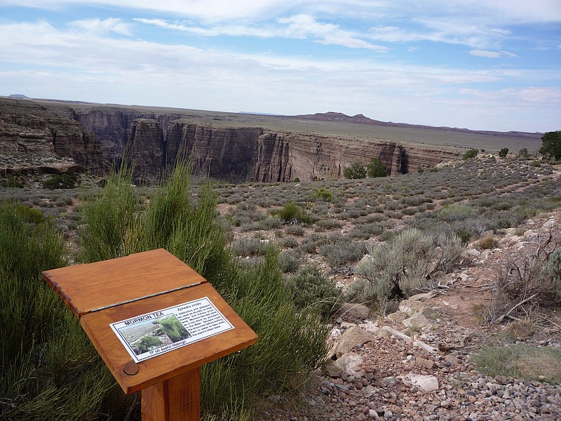 zm) According to Maps, The Little Colorado River Flows Into the Grand Canyon.JPG