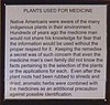 ze) Plants Used For Medicine .JPG