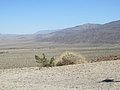 zy) SaturdayAfternoon 19 May 2012 ~ Thats Where We Came From!!, DriveJourney To Borrego Springs.JPG