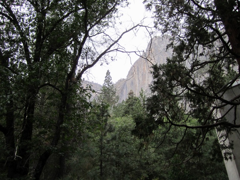 zg) SaturdayAfternoon 19 July 2014 ~ Yosemite Village Visitor Center View.JPG