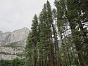 zn) SaturdayAfternoon 19 July 2014 ~ Yosemite Valley (Sentinel Meadows Vicinity).JPG