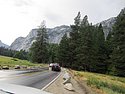 zp) SaturdayAfternoon 19 July 2014 ~ Yosemite Valley (Sentinel Meadows Vicinity).JPG