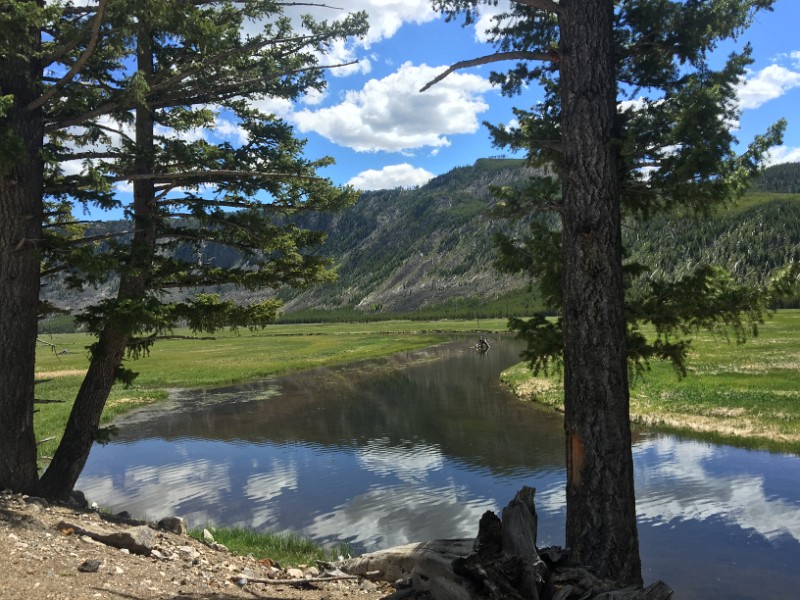 o) Saturday 4 June 2016 - Scenery Between West Entrance and Madison, Yellowstone National Park (Madison River)