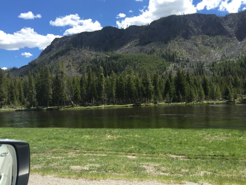 q) Saturday 4 June 2016 - Scenery Between West Entrance and Madison, Yellowstone National Park (Madison River)