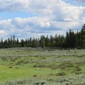 zl) Sat 4 Jun 2016 - Snapshot Somewhere Between Gibbon Fallls and North Entrance (Yellowstone National Park)