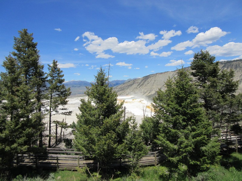 s) Mammoth Hot Springs Has Its Own Unique Volcanic Feature, Travertine Terraces (Interaction Of Water+LimeStone)