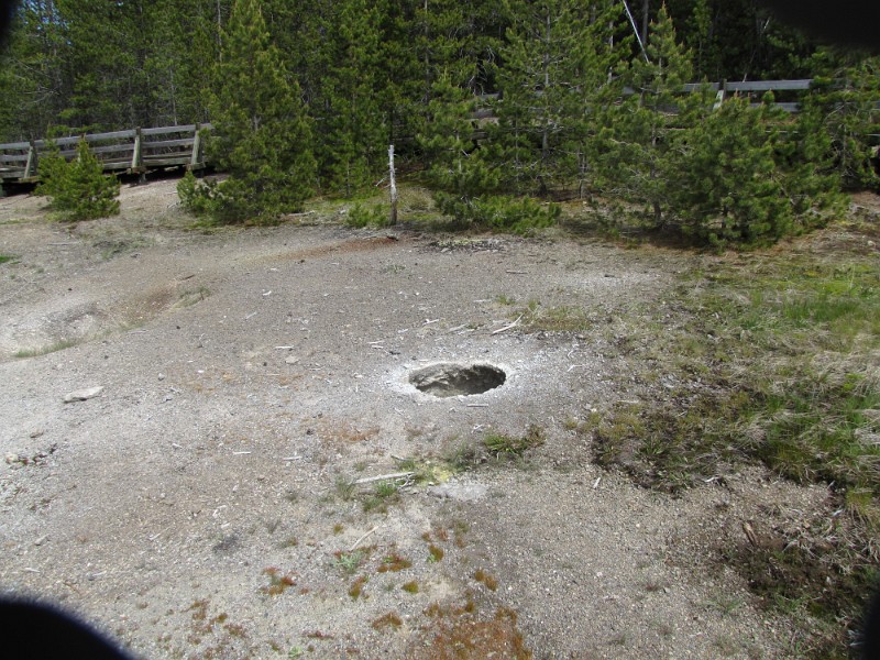 ze) Fumarole, Or Small Geyser (Located Behind Bench We Were Sitting On)