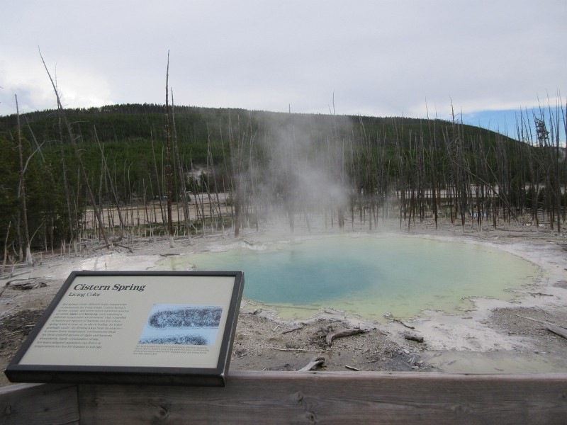 zzzc) Gradually, Within Few Days After Steamboat Had A Major Eruption, Cistern Begins To Refill (Underground Network)
