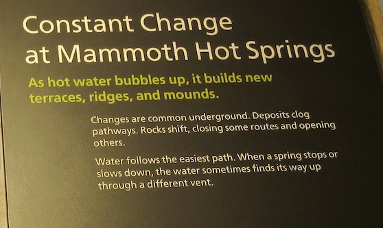 m) Constant Change @ Mammoth Hot Springs