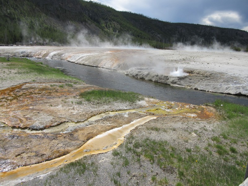 zzzg2) Thermo For Heat, Phile For Lover.... Thermophiles! (Cliff Geyser, Black Sand Basin)