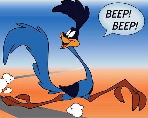 zzzzh2) Road Runner And Wile E. Coyote (Looney Tunes)