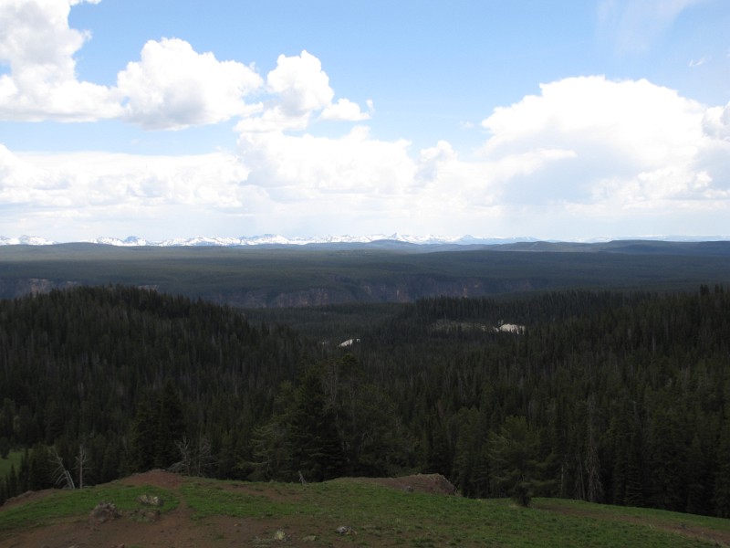 z) Grand Canyon Of The Yellowstone (Red Mountains On BackGround, South Of Yellowstone Lake)