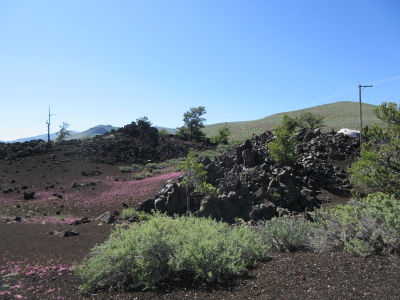 zt) Start Of The Loop, Craters Of The Moon
