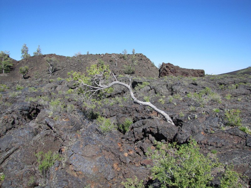 zzzh) North Crater Flow Trail (Craters Of The Moon By The Loop Road)