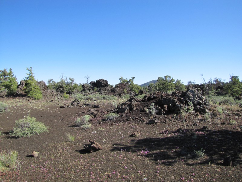 zzzx) Devils Orchard Trail (Craters Of The Moon By The Loop Road)