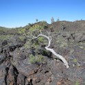 zzzg) North Crater Flow Trail (Craters Of The Moon By The Loop Road)