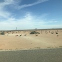t) Wednesday 31 May 2017 - Along The Mexican Border, CA (I-8)