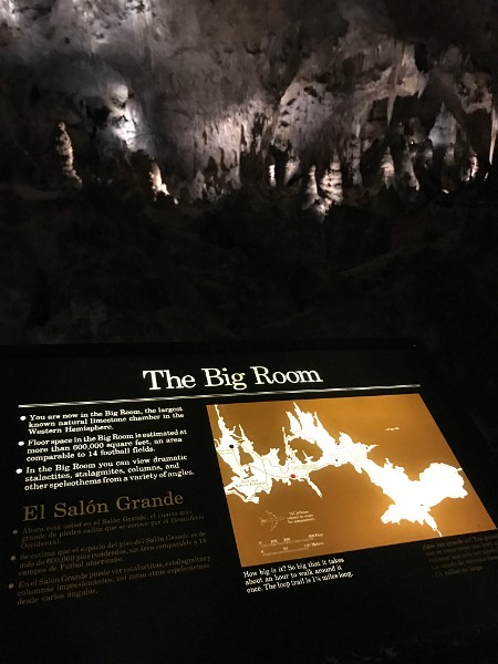 q) Saturday 3 June 2017 - Carlsbad Caverns National Park (The Big Room)