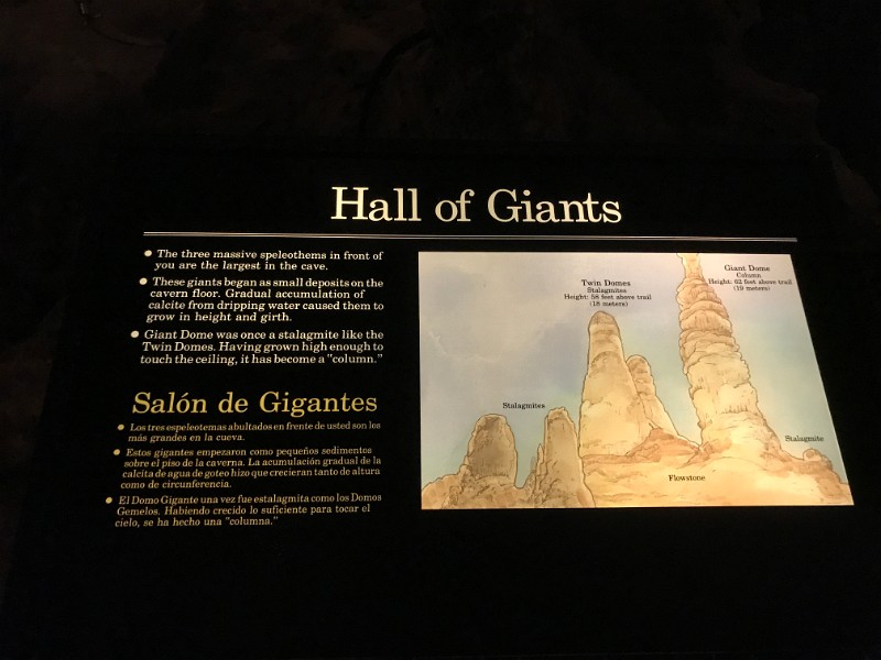 z) Saturday 3 June 2017 - Carlsbad Caverns National Park (Hall Of Giants)