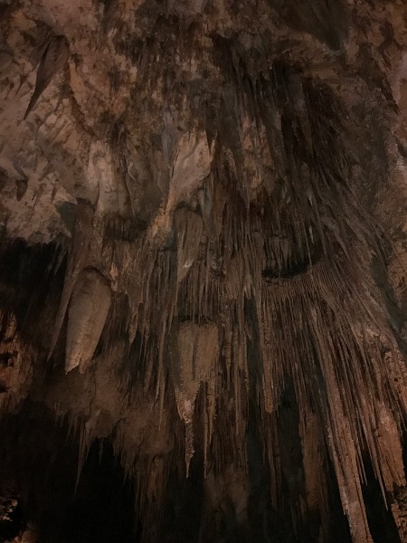 zu) Saturday 3 June 2017 - Carlsbad Caverns National Park