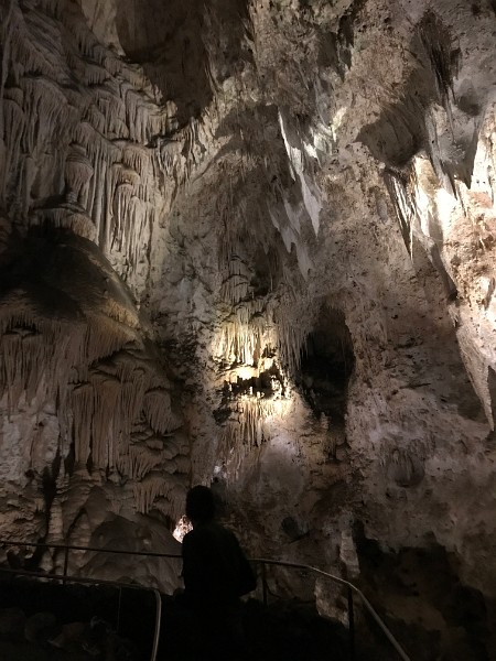 zza) Saturday 3 June 2017 - Carlsbad Caverns National Park