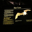 j) Saturday 3 June 2017 - Carlsbad Caverns National Park, Home Of 7 Types Of Bats (The Most Prevalant, The Mexican Free-Tailed)