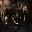 u) Saturday 3 June 2017 - Carlsbad Caverns National Park