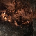 zd) Saturday 3 June 2017 - Carlsbad Caverns National Park