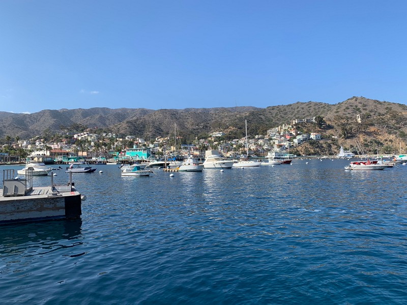 d) Thursday 8 November 2018 - Avalon, Catalina Island (Scenery From Boat Terminal)